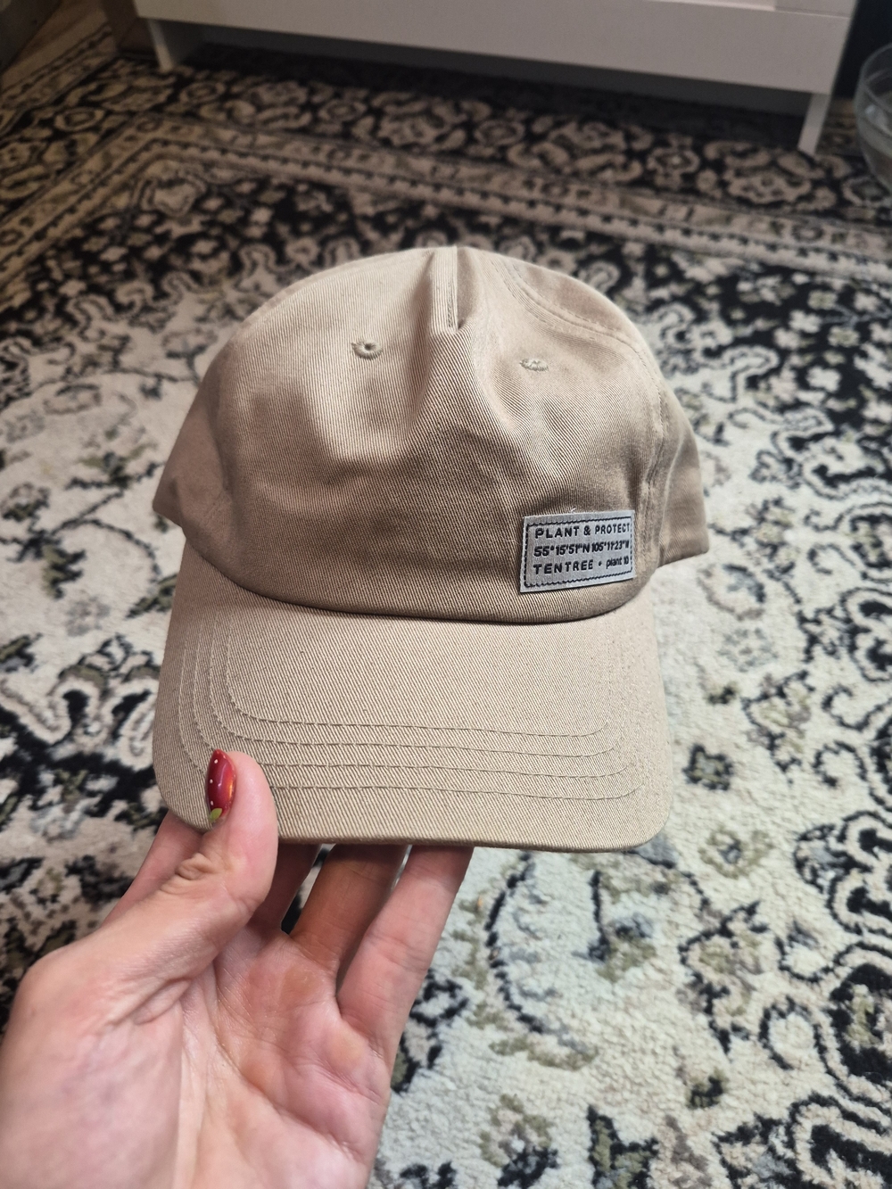 Tentree Beige Cotton Dad Cap with Patch